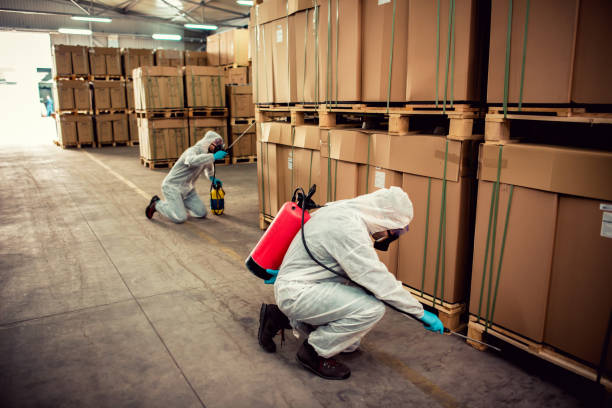 Best Flea Control Services  in Church Hill, MD