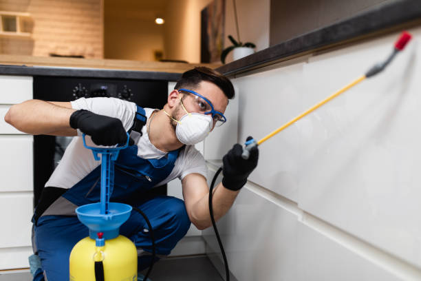 Best Pest Inspection Near Me  in Church Hill, MD