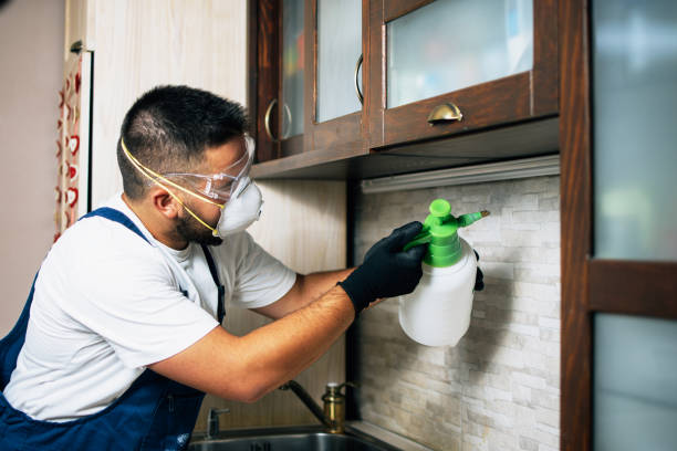 Best Affordable Pest Control Services  in Church Hill, MD