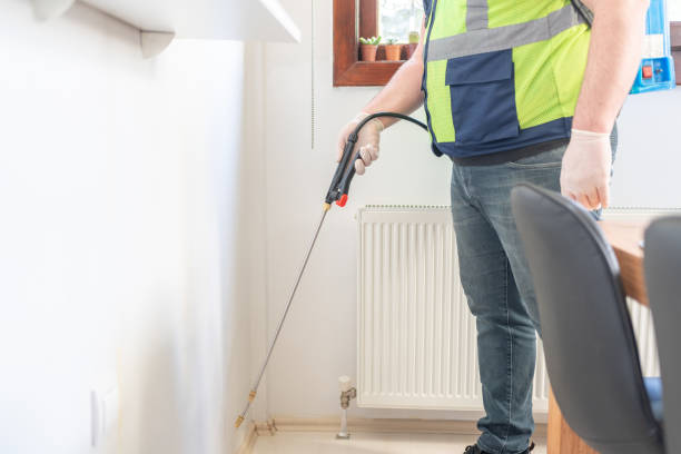 Flea Control Services in Church Hill, MD