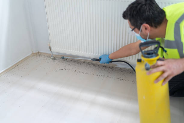 Reliable Church Hill, MD Pest Control Solutions